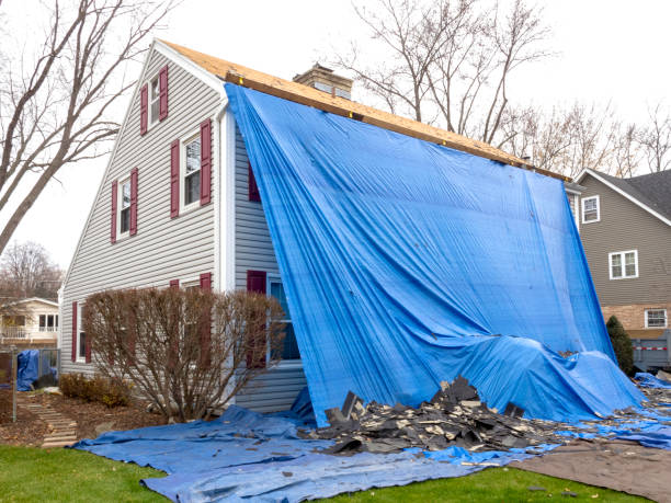 Best Siding Painting and Refinishing  in Benton Heights, MI